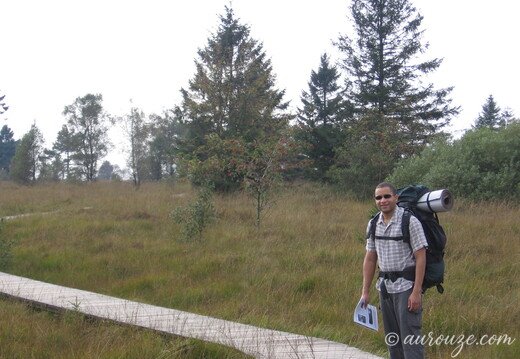 IMG 3890