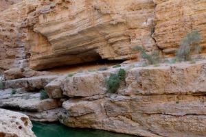 Oman