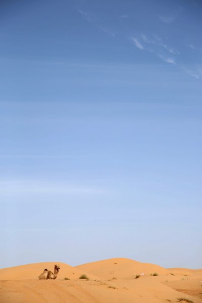 12-02-17-07_45_42_011