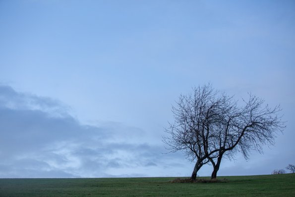 02-11-21-17_56_11_053