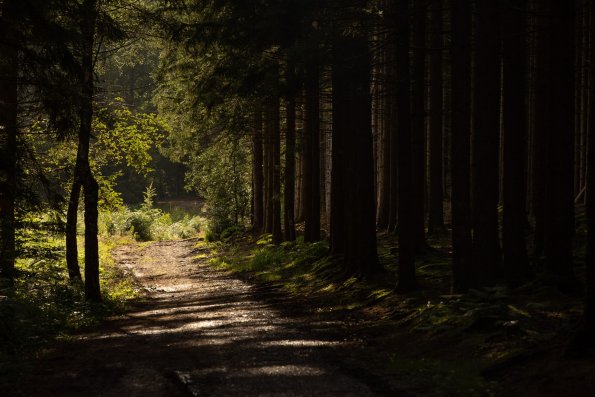 08-08-21-18_26_53_023