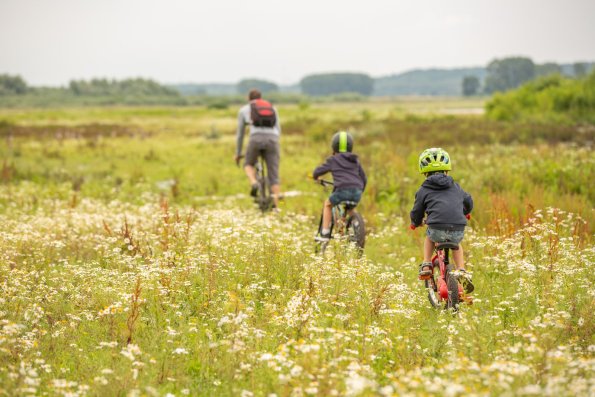 10-07-21-16_06_24_034