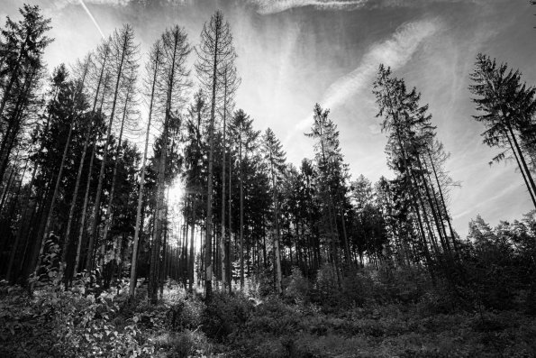 10-10-21-10_43_17_006