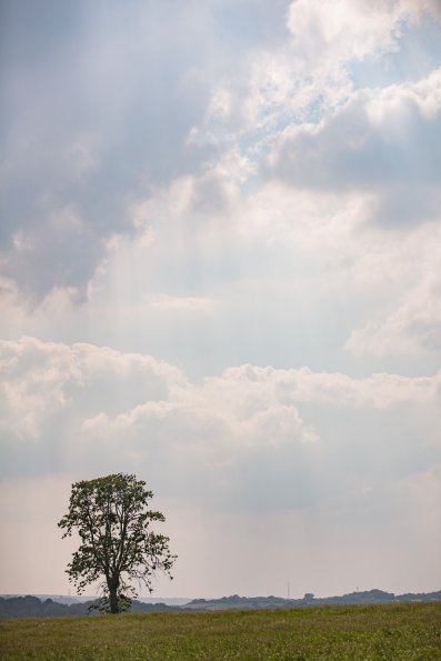 12-06-21-17_00_37_039