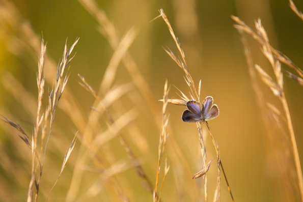 14-08-21-07_51_51_019