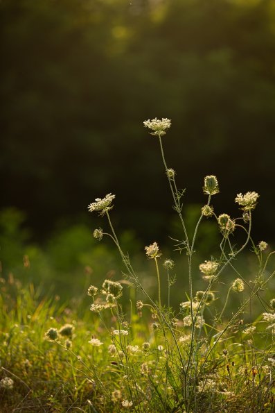 14-08-21-19_28_22_018