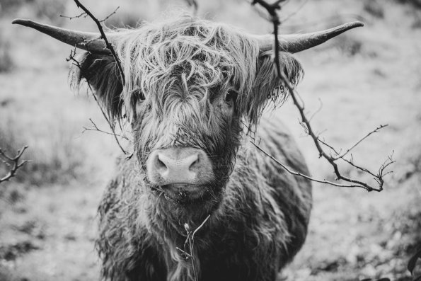 30-10-21-17_09_07_056